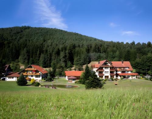 Tonbach House | Family-Friendly Getaway at Landhaus Mühlengrund