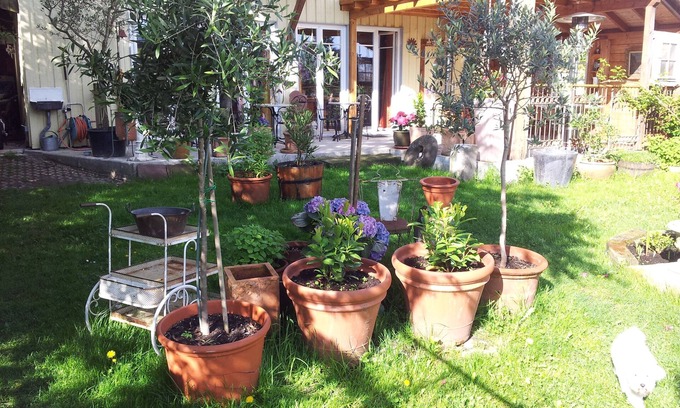 Immenstaad am Bodensee Hotel | Idyllic Landhotel Elfenhof: Rated 9.2, Family-Friendly Stay