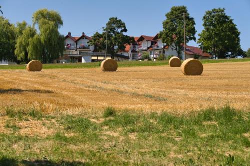 Lippertsreute Hotel | Family-Friendly Stay at Landhotel Schellenberg with Dining