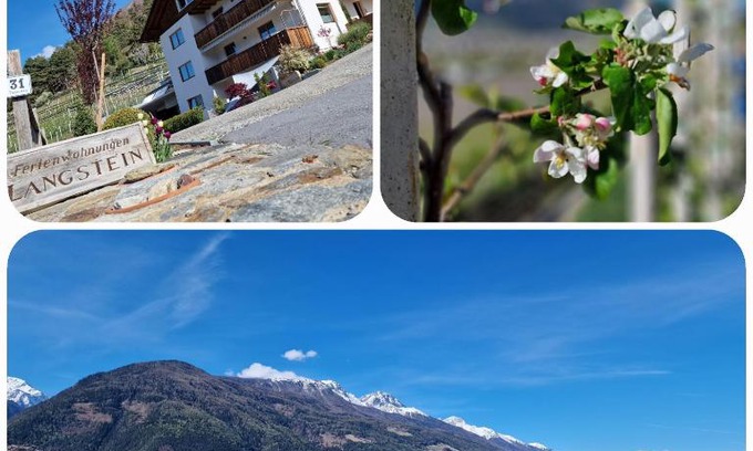 Laces House | Langstein Bio Urlaub: Guest Rated 10/10 with Great Amenities