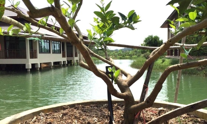 Ban Na Faek Hotel | Guest Rated Lantala Residence: Breakfast & Family-Friendly Stay