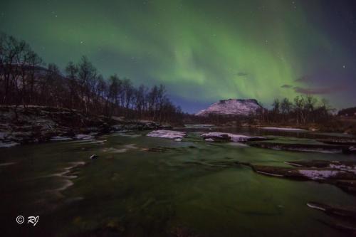 Lavangen Cabin | Discover Lapphaugen Turiststasjon: Pet-Friendly Getaway!