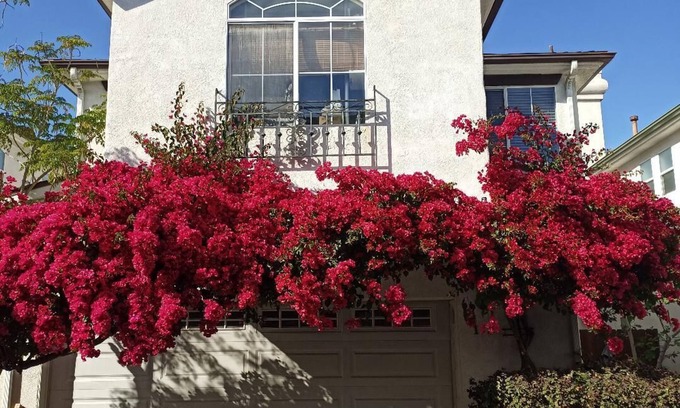 North Hollywood House | Spacious Home in Gated Community with Breakfast Included