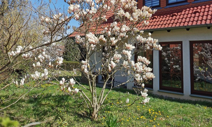 Neuenhagen bei Berlin House | Spacious 5-Bedroom House with Garden & Easy Berlin Access
