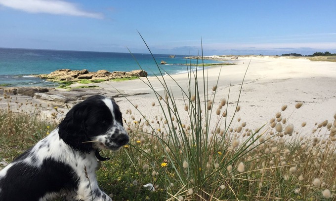 Plobannalec-Lesconil House | Idyllic House by the Water in Lesconil with Ocean View