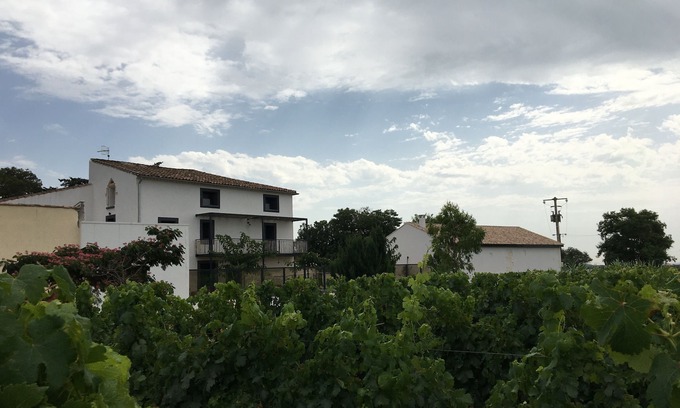 Pinet House | Inviting House Nestled in Organic Vineyards with Pool
