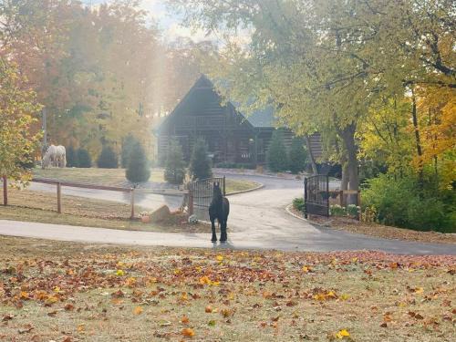 Loveland House | Inviting Log Cabin Chalet with Hot Tub Near Horses & Lake