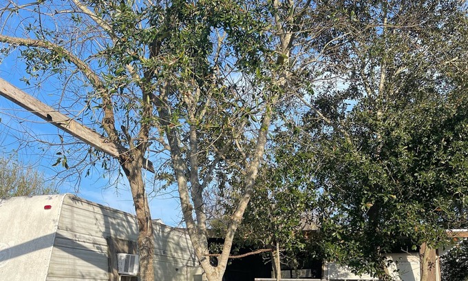 Hitchcock House | Pet-Friendly RV with Ocean View and Gated Parking