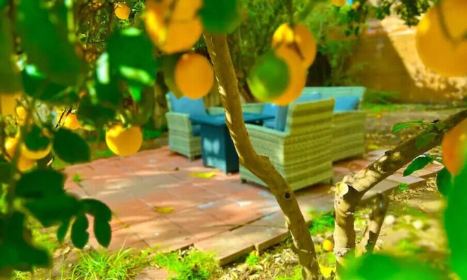 Glendale House | Exceptional Americana on Brand with Spacious Yard & Hot Tub