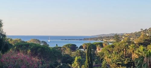 La Nartelle Apartment | Seaside Retreat at Larimar Etablissement - 200m to the Beach