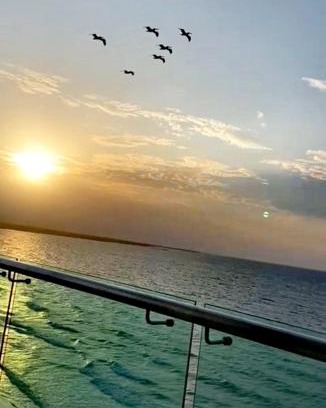 Covenas Apartment | Discover Las 4 Estaciones: Pet-Friendly Oceanfront Retreat