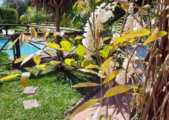 Concepcion del Uruguay House | Experience LAS CALAS: Top-Rated Retreat with Pool & Pets