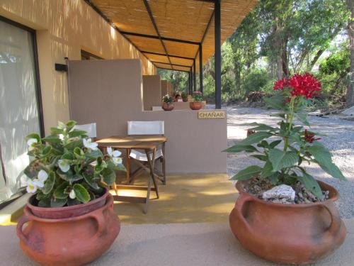 Belen Hotel | Relaxing Oceanfront Stay at Las Cardas Posada