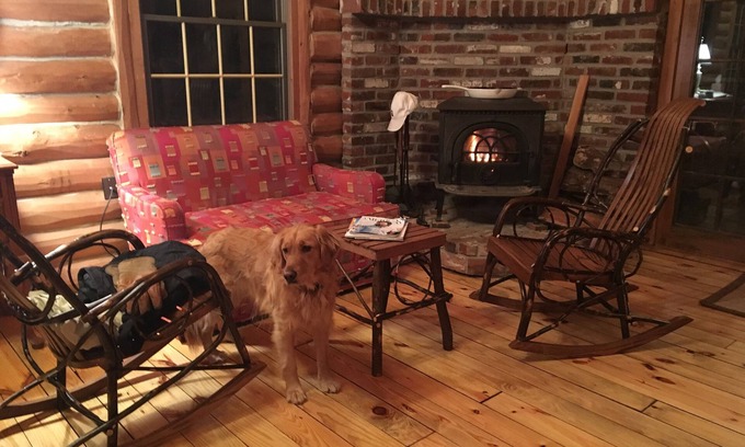 Eagles Mere Cabin | Discover Fall Foliage in Historic Eagles Mere, PA!