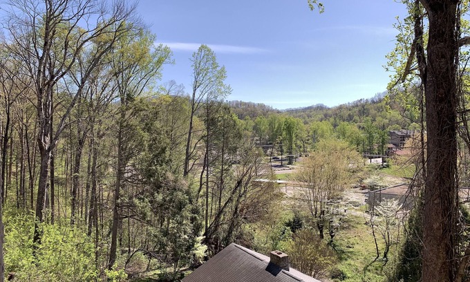 Gatlinburg Hotel | Discover Laurel Inn Condominium: Family-Friendly Getaway