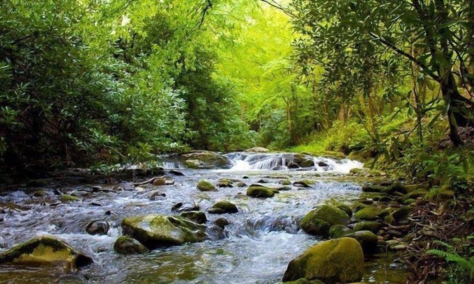 Rocky Grove Cabin | Romantic Escape at Laurelwood Falls Cabin with Spa & Hot Tub