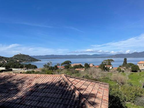 Belvedere-Campomoro Other | Lavallee4