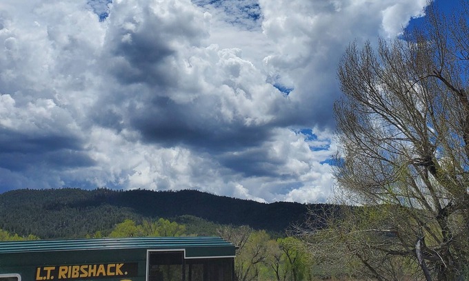 Alamosa Bed & Breakfast | Lavender Trail Ranch