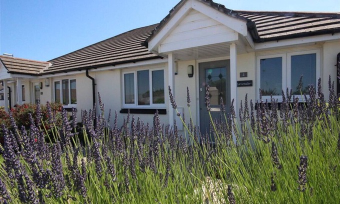 Wadebridge Cottage | Lavender Hotel: Top-Rated Stay Near Wadebridge Town