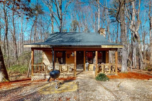 Sautee Nacoochee House | Inviting Lazy Bear Cabin: Pet-Friendly Retreat with Hot Tub