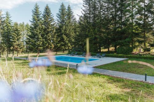 Chmielno Apartment | Serene Leśny Apartament - Oceanfront Bliss Awaits