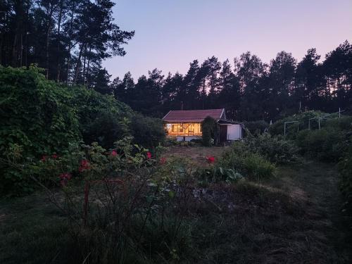 gmina Osiek House | Leśny domek z prywatnym pomostem