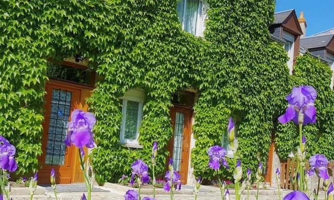 Beaugency Hotel | Explore Le Beaugency: Spa Retreat with Top Guest Reviews