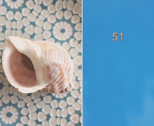 Carnac Apartment | Experience Le Bulot Bleu: Oceanfront Haven with Bikes