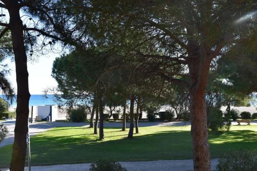 Plage d'Argeles Apartment | Le Byblos 9: Ocean View with Climate Control & Pet-Friendly