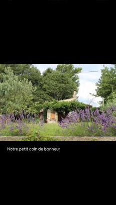 Mane House | Budget-Friendly Retreat at Le Cabanon - Guest Rated 7.6/10