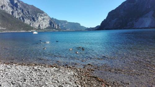 Abbadia Lariana Apartment | Cozy Le Case di Giulia: Oceanfront & Pet Friendly Stay