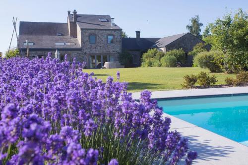 Gesves House | Discover Le Champ Du Coq: Oceanfront Bliss Awaits