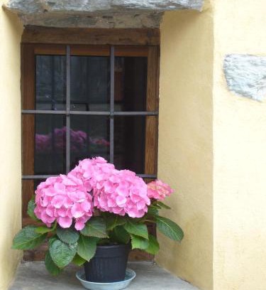 Vignil House | Cozy Retreat at Le Chaton Fait Ronron with Pet-Friendly Perks