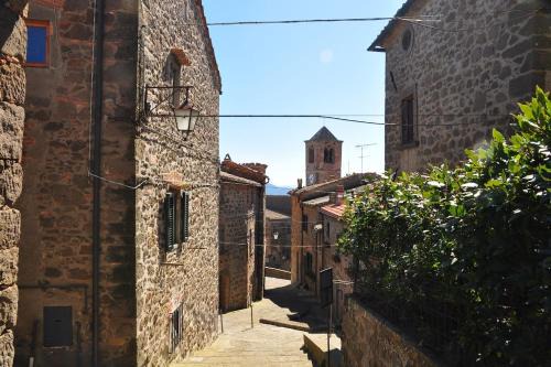 Montecatini Val di Cecina Apartment | Explore Le Civette: Pet-Friendly Retreat with Top Reviews