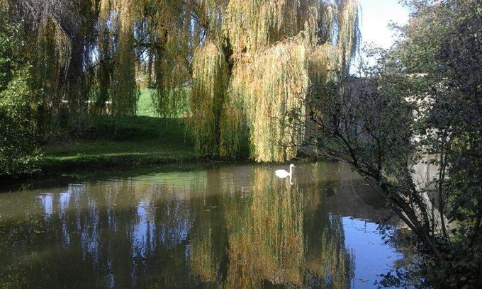 Charolles Apartment | Discover Le Clos des Cygnes: Family & Pet Friendly Retreat