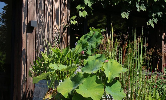 La Ferte-Saint-Aubin House | Guest Rated 10/10: Le Clos des Poulies with Breakfast