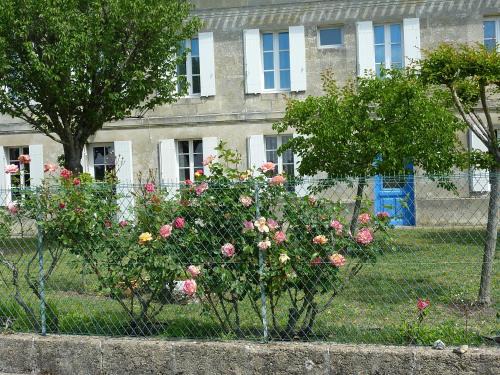 Saint-Emilion Bed & Breakfast | Child-Friendly Retreat at Le Clos des Rosiers - Rated 9.3/10