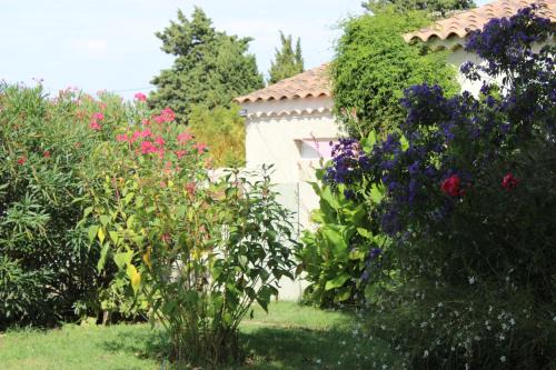 Tarascon House | Discover Le Clos des Vergers: Pet-Friendly & Family-Ready