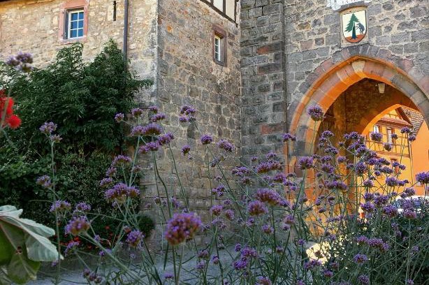 Dambach-la-Ville House | Exceptional Family Retreat at Le Cocon du Potier