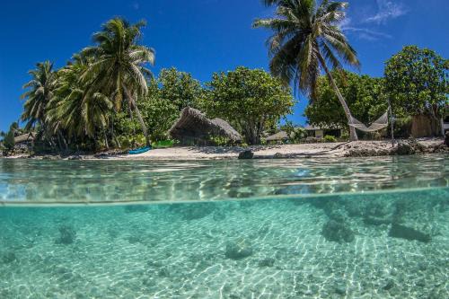 Rangiroa Bed & Breakfast | Relax at Le Coconut Lodge with Private Beach & Ocean Views