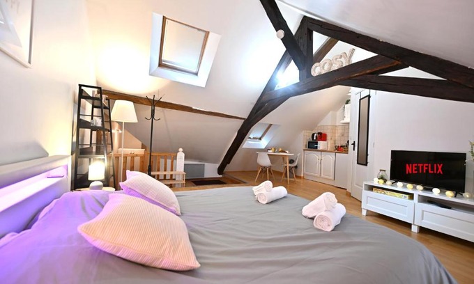 Sens Apartment | Discover Le Cosy du tambour d'argent: 4-Star Comfort Awaits