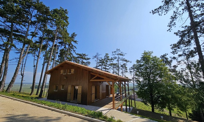 Bonneuil Ski Chalet | Relax at Le Cottage des Pins: Poolside Vineyard Retreat