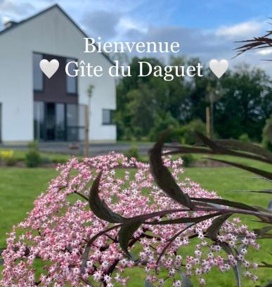 Florenville House | Pet-Friendly Gîte du Daguet - Guest Rated 10/10 Experience