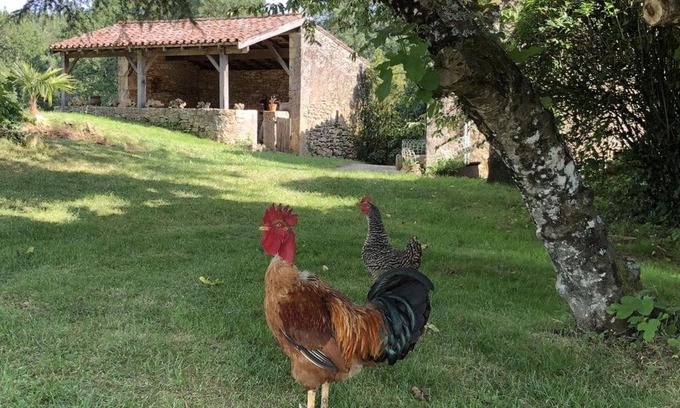 Cuzorn House | Experience Le Gîte de lescarcelles Near Bonaguil Castle