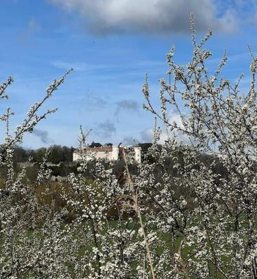 Ray-sur-Saone House | Family-Friendly Escape at Maison Ray Sur Saône - 9.5 Rated