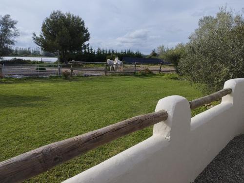Arles Apartment | Guest Rated 10/10: Le Gîte de Pandore Awaits You