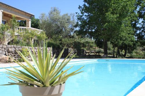 Rosieres House | Experience Oceanfront Bliss at Le Gîte du Soleil