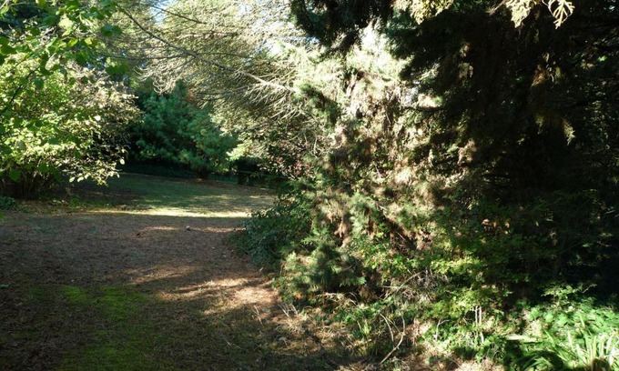 La Roche-Clermault Bed & Breakfast | Top-Rated Family-Friendly Stay at Le Logis du Peu Girard
