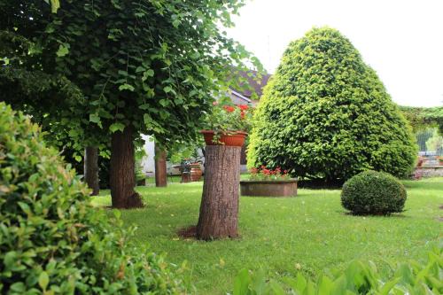 Saverne Apartment | Experience Comfort at Le Manoir de l'Abbaye - 9.3/10 Rated