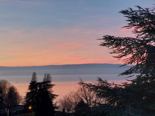 Evian-les-Bains Apartment | Discover Le Mirabeau Vue Lac: Family-Friendly Retreat